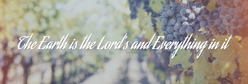 Abundant Blessings Religious Website Banner